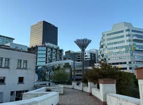 Wellington Central - February 2025