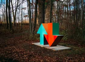 red and blue arrow sign surrounded by brown